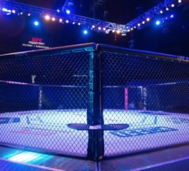 UFC ऐप - जानें कि झगड़े कैसे देखें
