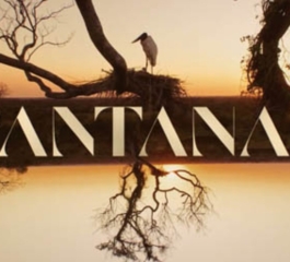 Novela Pantanal – Veja como Assistir