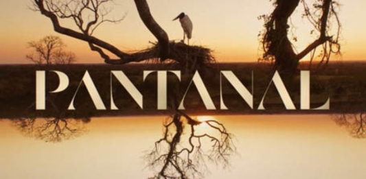 Novela Pantanal – Veja como Assistir