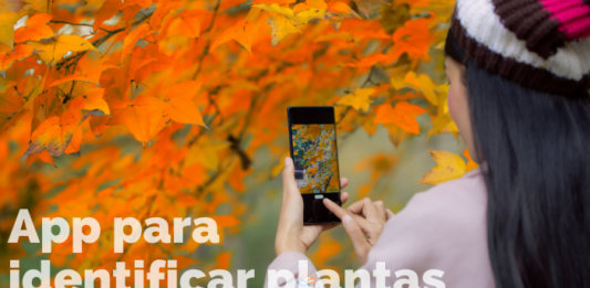 App Plantas – Saiba Identificar Todas