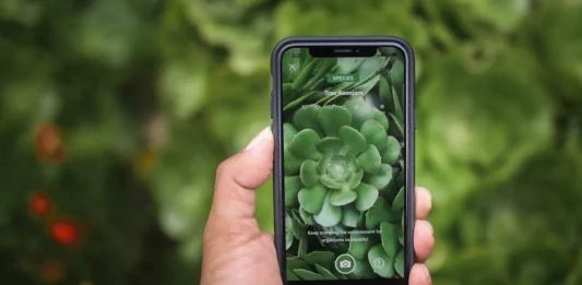 App Identificador Plantas – Passo a Passo