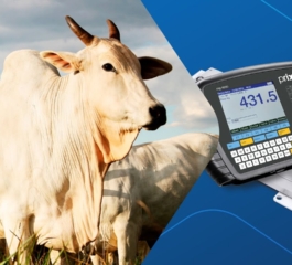 Free Apps for Weighing Livestock and Animals
